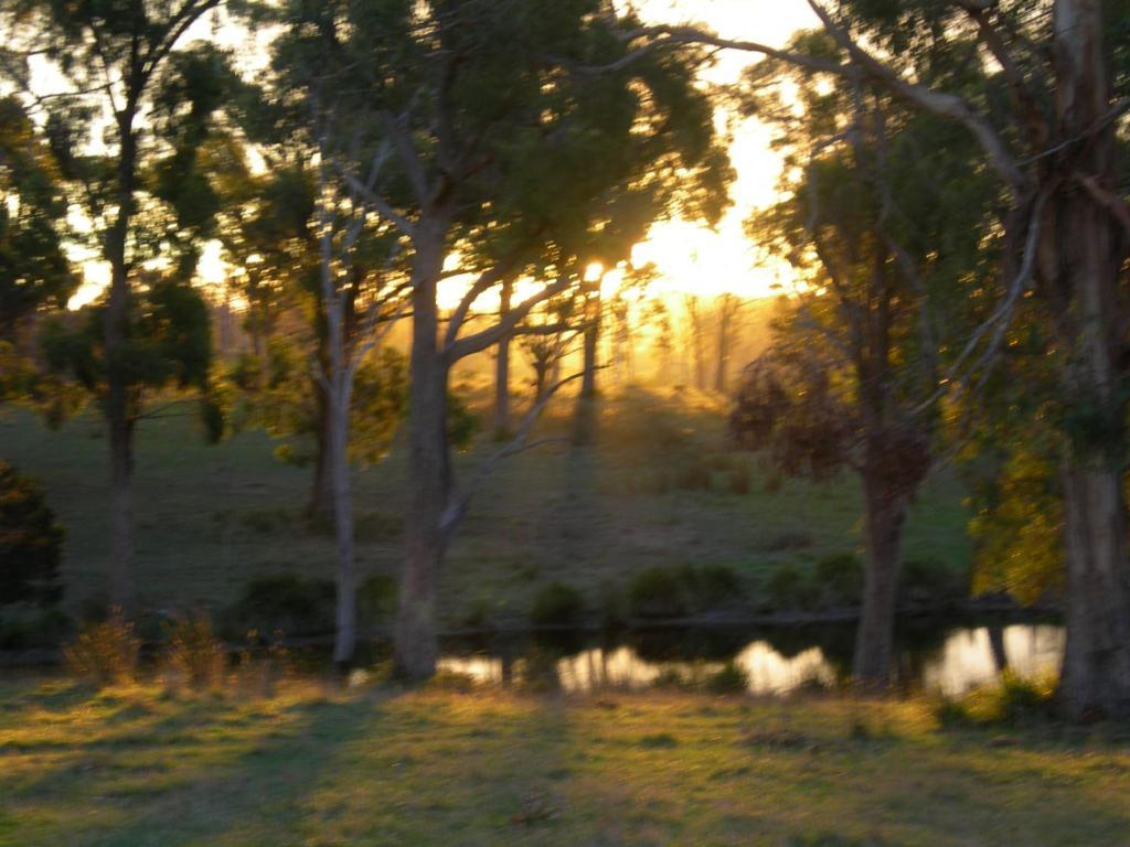 Platypus Park Country Retreat Vila Bridport Quarto foto