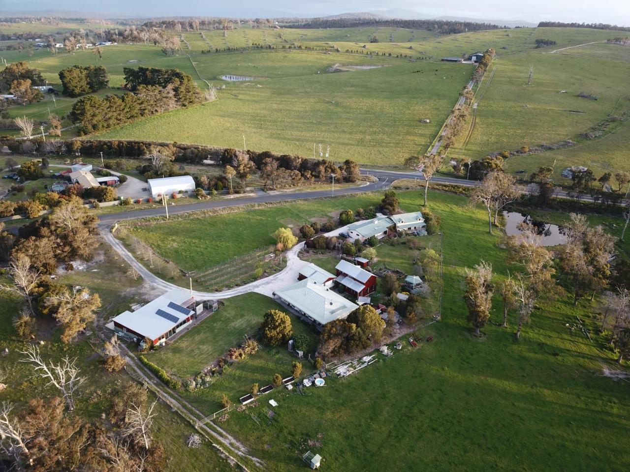 Platypus Park Country Retreat Vila Bridport Exterior foto
